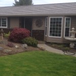 Stone Wainscot and Sill